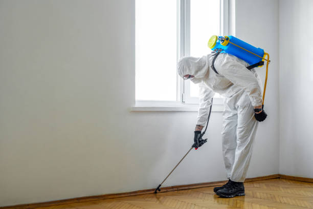 Best Affordable Pest Control Services  in Fort Loramie, OH