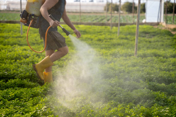 Best Pest Control for Homes  in Fort Loramie, OH