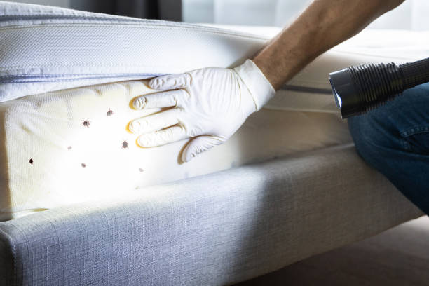 Best Cockroach Control Services  in Fort Loramie, OH